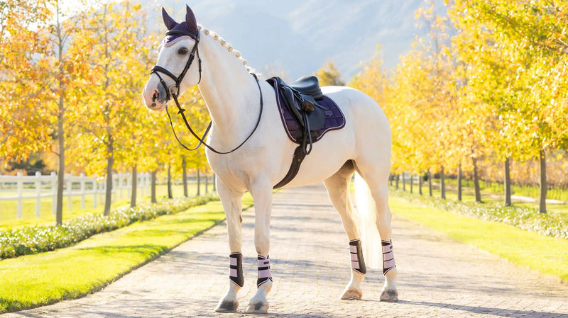 LeMieux Loire Classic GP Square Saddle Pad Premium