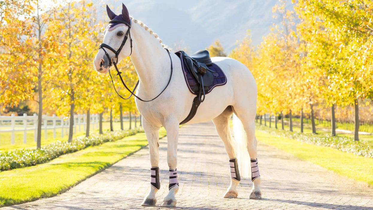 LeMieux Loire Classic GP Square Saddle Pad Premium