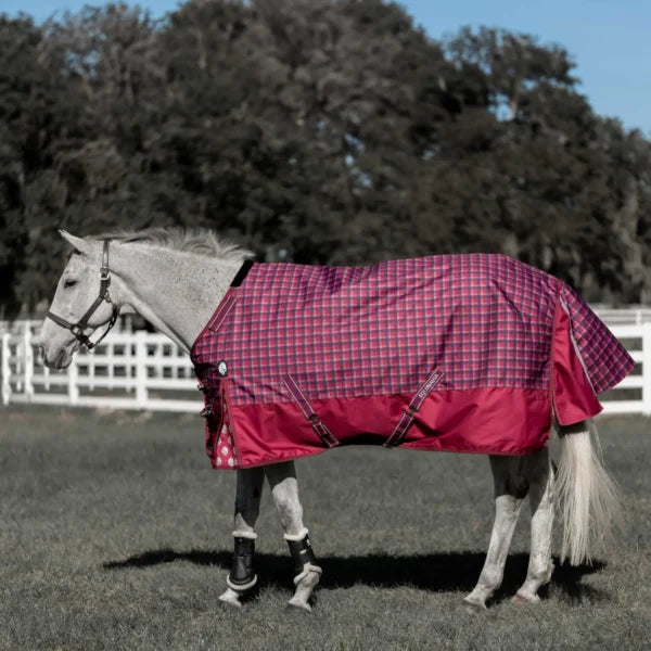 Equinavia Arktis Standard Neck Heavy Turnout Blanket (300g)