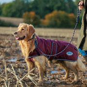 image_addtnl_2 - Maroon/Grey/White - WeatherBeeta ComFiTec Premier Free Parka Deluxe Dog Coat Medium - .jpg
