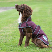 image_addtnl_3 - Maroon/Grey/White - WeatherBeeta ComFiTec Premier Free Parka Deluxe Dog Coat Medium - .jpg