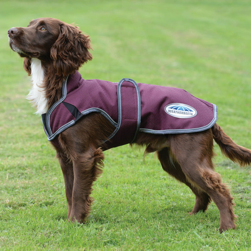 image_main - Maroon/Grey/White - WeatherBeeta ComFiTec Premier Free Parka Deluxe Dog Coat Medium - .jpg