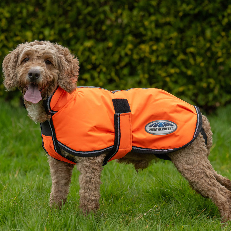 image_addtnl_2 - Orange - WeatherBeeta ComFiTec Reflective Parka 300D Deluxe Dog Coat - .jpg