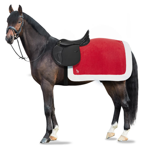 Equinavia Norse Pferdedecke Mittelschwer – 200 G, 600D Polyester, Wasserdicht, Größe 198 Cm Equinavia Norse Pferdedecke Mittelschwer – 200 G, 600D Polyester, Wasserdicht, Größe 198 Cm