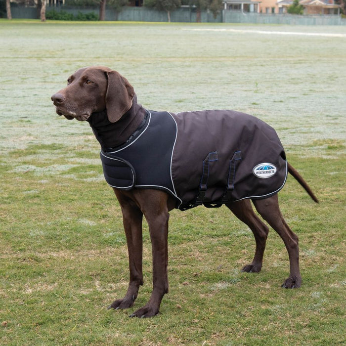 WeatherBeeta ComFiTec Ultra Cozi Dog Coat (100g Medium-Lite) - Closeout