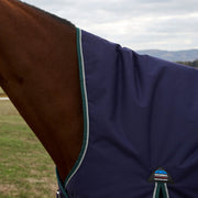 image_feature_1 - Forest Green/Navy -  - .jpg