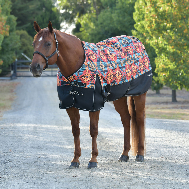 image_main - Western Sunset Print - WeatherBeeta ComFiTec Essential Turnout 220g - .jpg