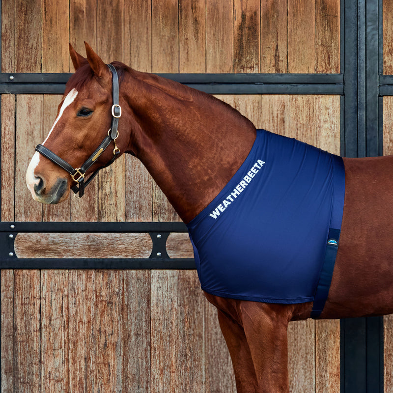 image_main - Navy -  - .jpg