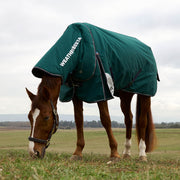 image_addtnl_2 - Forest Green/Navy - WeatherBeeta ComFiTec Plus Dynamic Turnout Detach-A-Neck 220g - .jpg