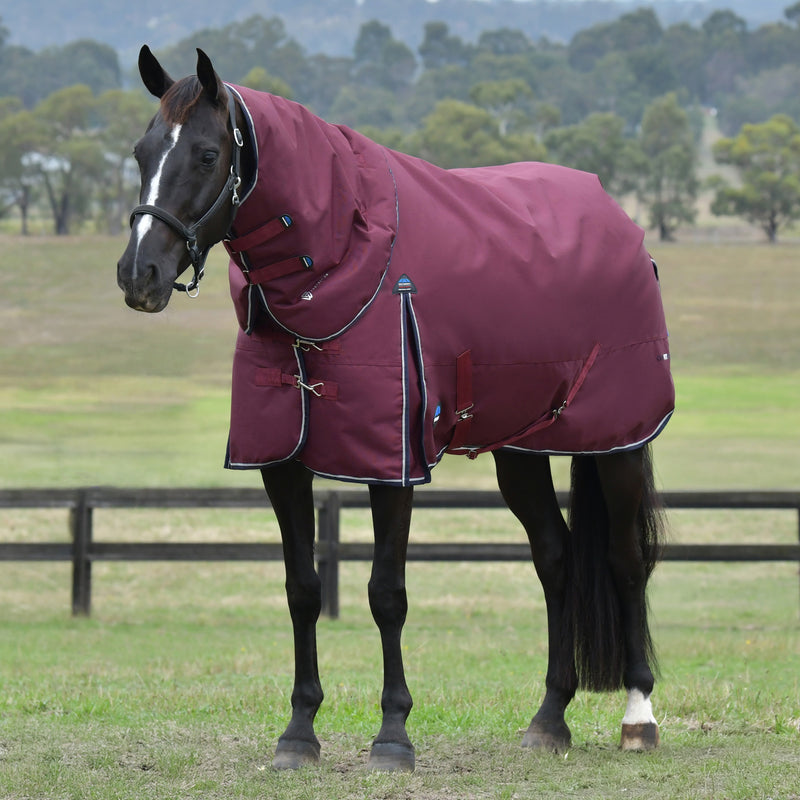 image_main - Burgundy/Navy - WeatherBeeta ComFiTec Essential Turnout Detach-A-Neck 220G - .jpg