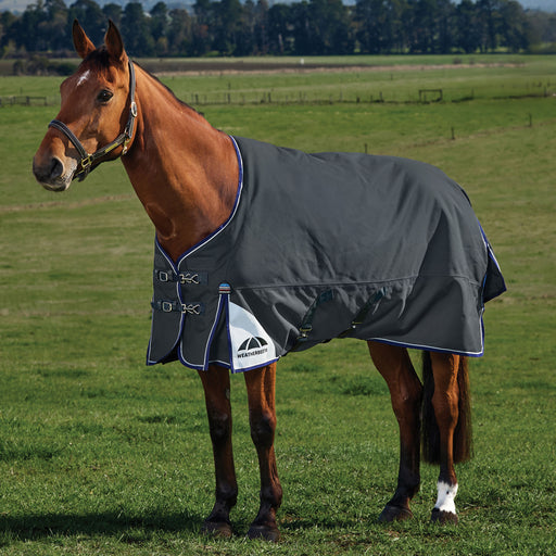 image_main - Charcoal - WeatherBeeta ComFiTec Ultra Turnout Standard Neck 220g - .jpg