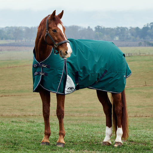 image_main - Forest Green/Navy - WeatherBeeta ComFiTec Plus Dynamic Turnout High Neck 220g - .jpg