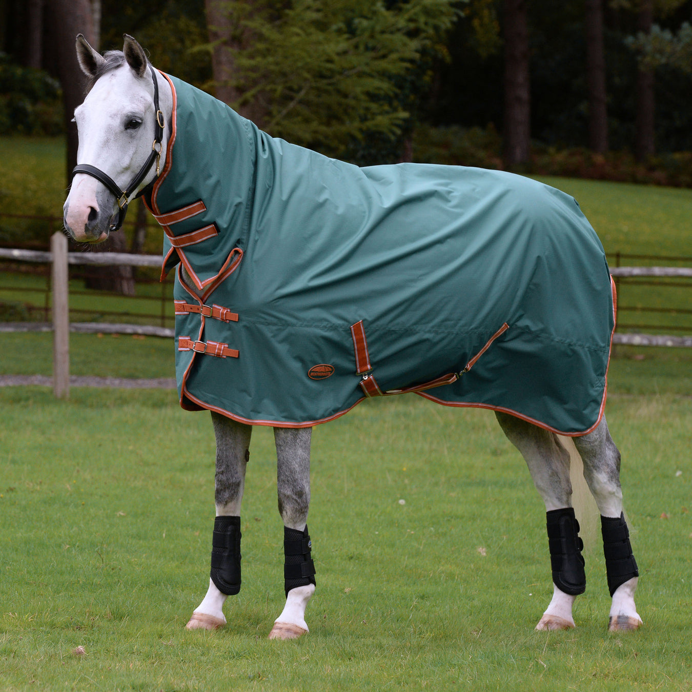 image_main - Green/Burnt Orange/White - WeatherBeeta ComFiTec Tyro Combo Neck Lite Plus - .jpg