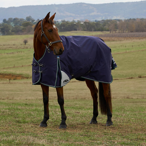 image_main - Navy/Forest Green - WeatherBeeta ComFiTec Plus Dynamic Turnout High Neck 220g - .jpg