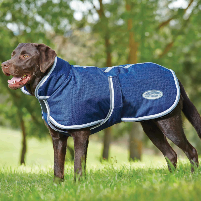 image_main - Navy/Grey/White - WeatherBeeta ComFiTec Parka 1200D Deluxe Dog Coat - .jpg