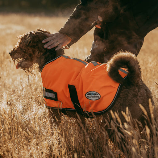 image_main - Orange - WeatherBeeta ComFiTec Reflective Parka 300D Dog Coat - .jpg