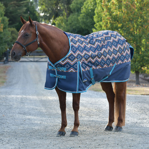 image_main - Sedona Star Print - WeatherBeeta ComFiTec Essential Turnout 220g - .jpg