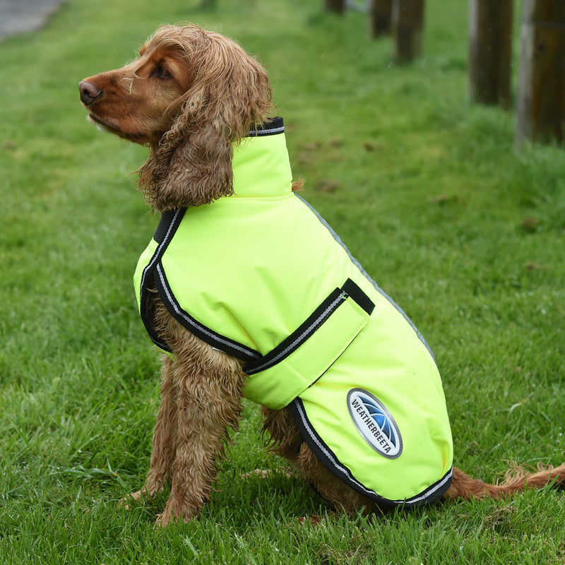 image_main - Yellow - WeatherBeeta ComFiTec Reflective Parka 300D Deluxe Dog Coat - .jpg