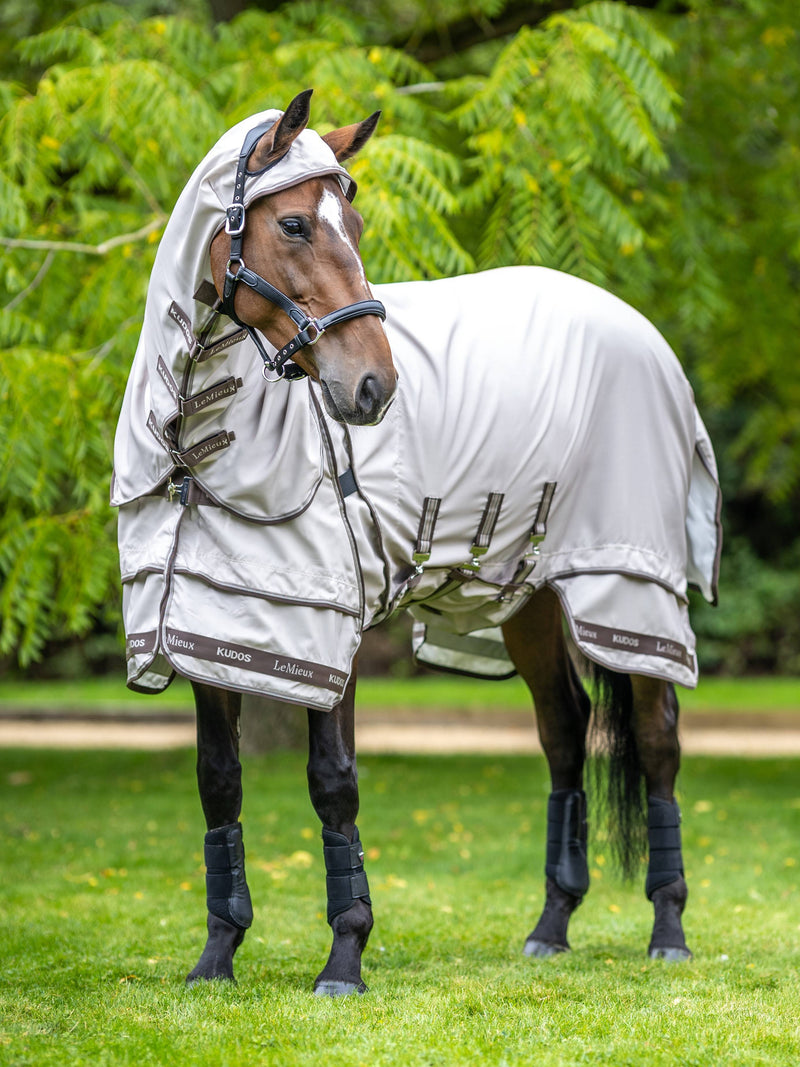 Kudos Sweet Itch Blanket Stone