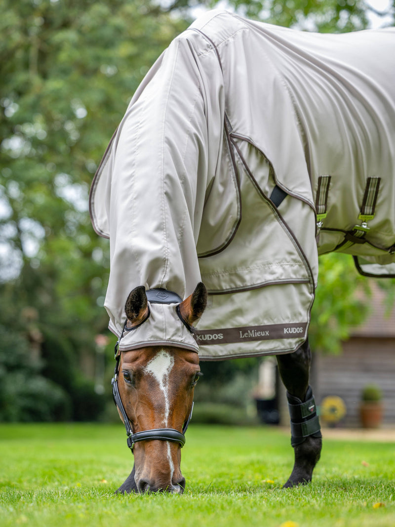 LeMieux Kudos Sweet Itch Blanket Stone