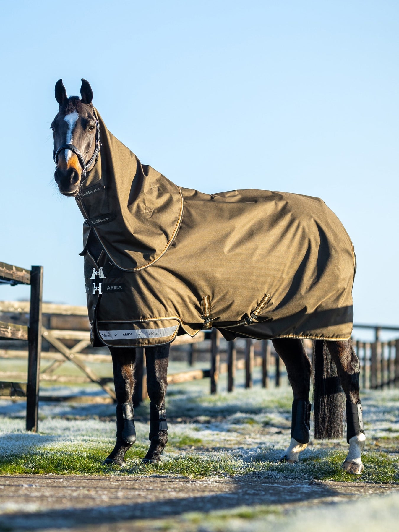 LeMieux Arika Ripstop Turnout Blanket (100g Medium Lite) in Alpine