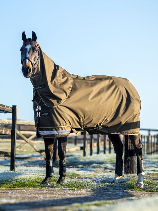 LeMieux Arika Ripstop Turnout Blanket (100g Medium Lite) in Alpine