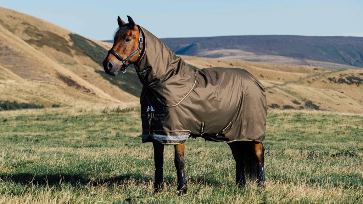 LeMieux Arika Ripstop Turnout Blanket (200g Medium) — Performance