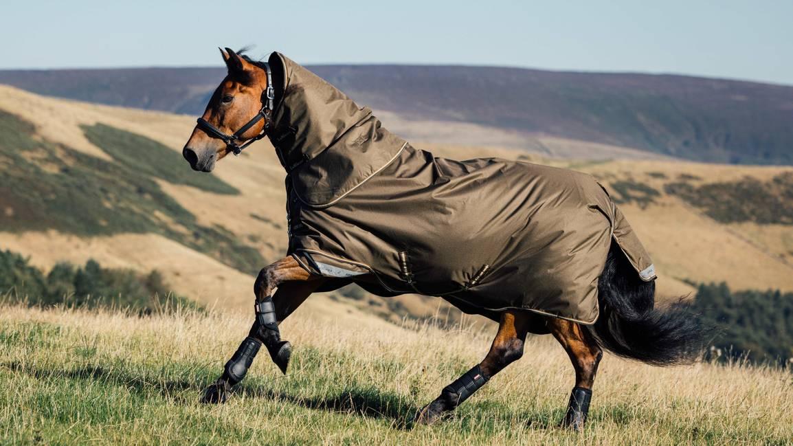 LeMieux Arika Ripstop Turnout Blanket (50g Medium Lite