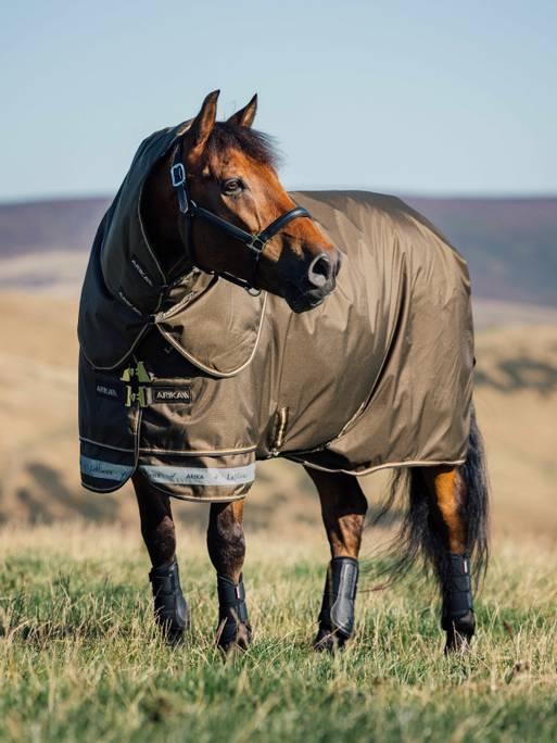 LeMieux Arika Ripstop Turnout Blanket (200g Medium)