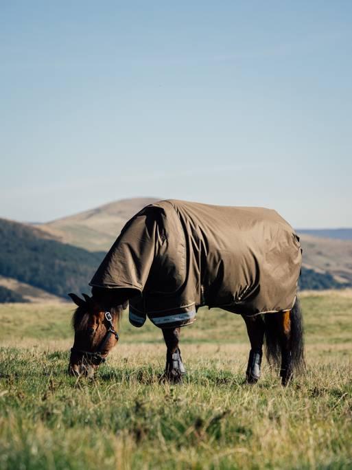 LeMieux Arika Ripstop Turnout Blanket (50g Medium Lite