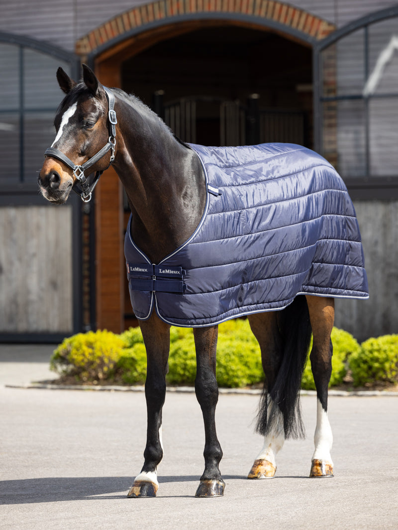 LeMieux Rug Liner (100g)