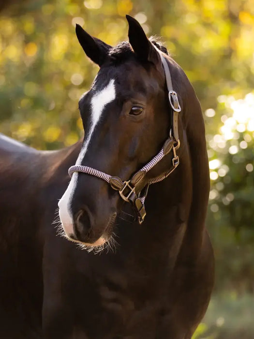LeMieux Ropella Headcollar