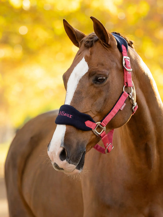 LeMieux Vogue Headcollar & Leadrope Set