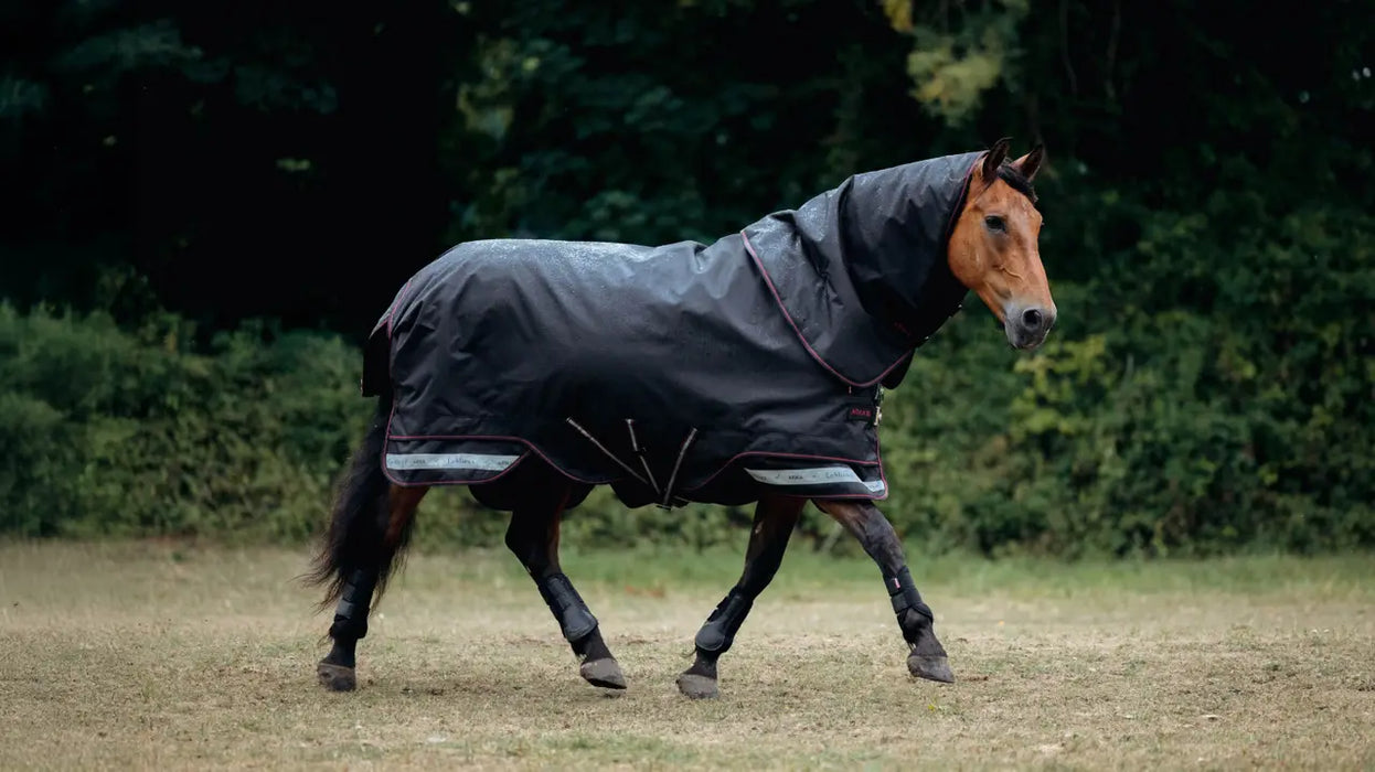 LeMieux Arika Storm-Tek Rug (100g)