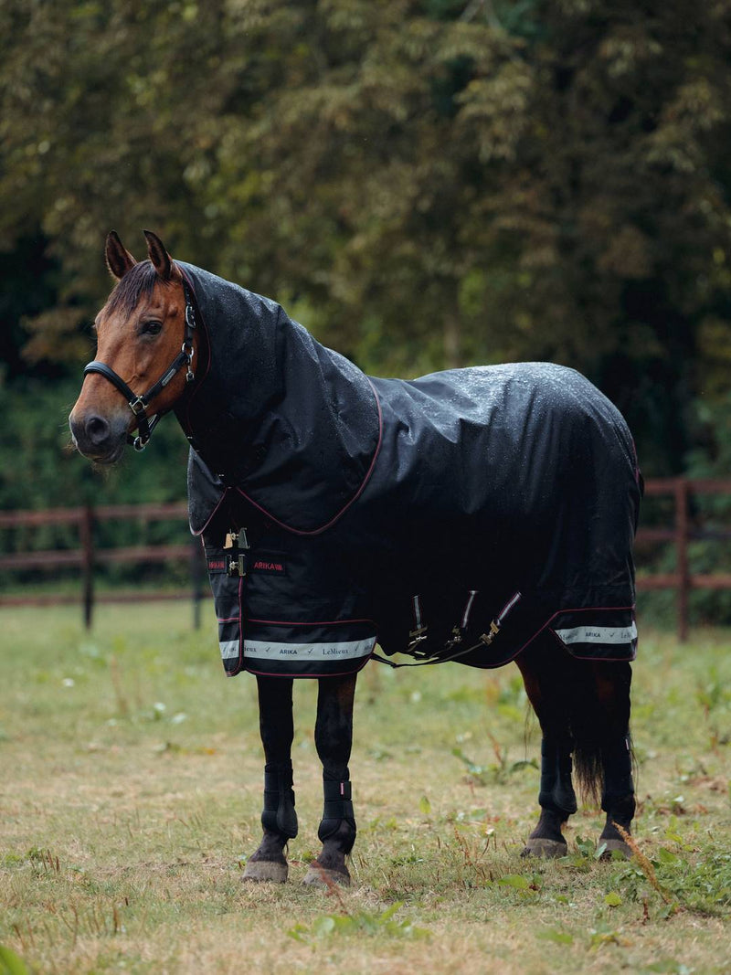 LeMieux Arika Storm-Tek Blanket (200g Medium)