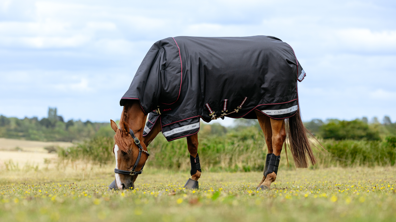 LeMieux Arika Storm-Tek Blanket (200g Medium)