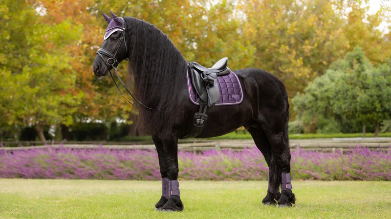 LeMieux Loire Classic Dressage Square Equestrian Saddle Pad