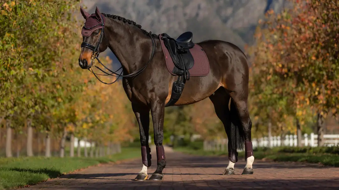 LeMieux Finesse Essence Dressage Square Saddle Pad