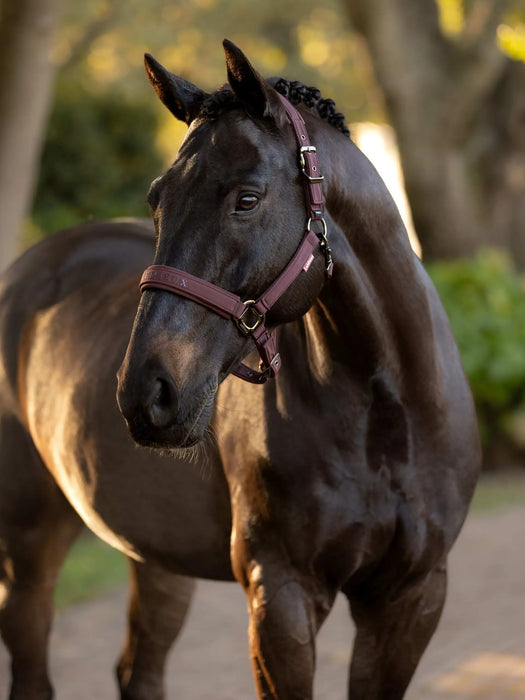LeMieux Essence Headcollar