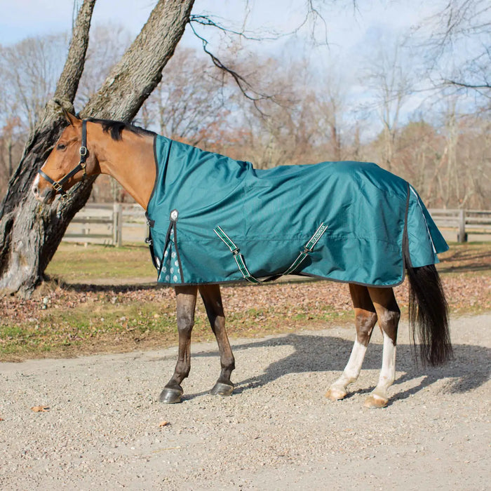 Equinavia Arktis Extended High Neck Medium Weight Turnout Blanket (200g)