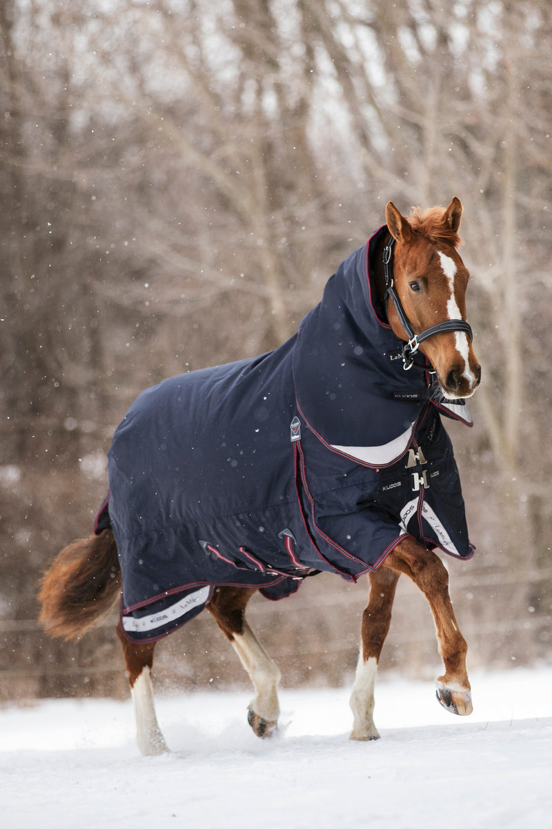 LeMieux Kudos Turnout Blanket (350g Heavy, with Detachable Hood) in Navy