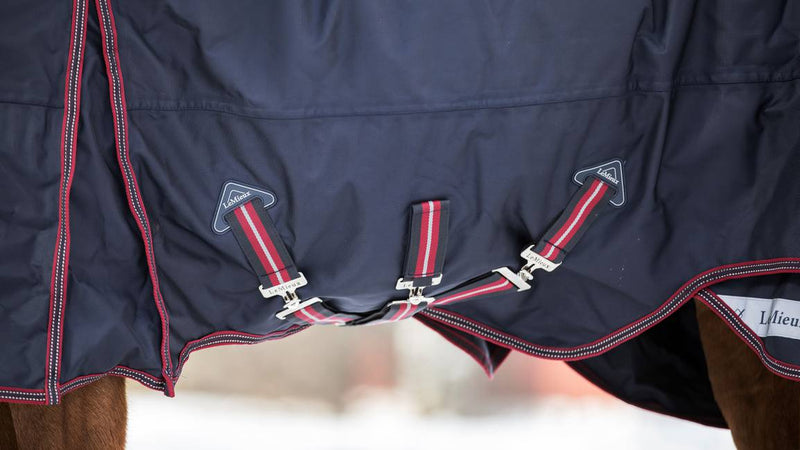 LeMieux Kudos Turnout Blanket (50g Medium/Lite, with Detachable Hood)
