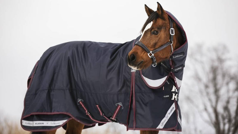 LeMieux Kudos Turnout Blanket (200g Medium, with Detachable Hood)