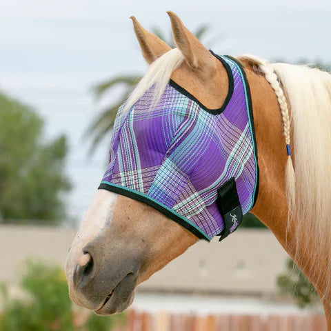 Kensington Fly Mask with Web Trim