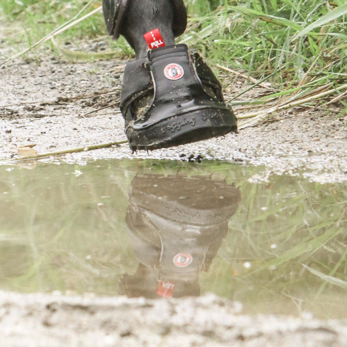Equine Fusion Trekking Jogging Shoe Hoof Boot Single
