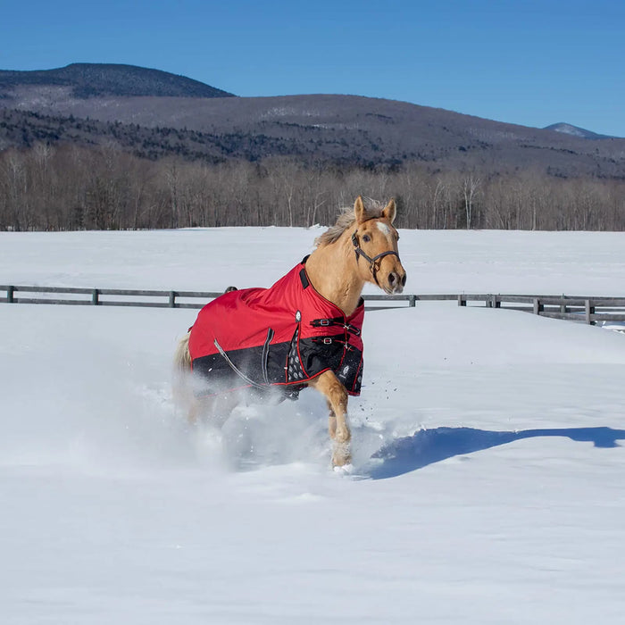 Equinavia Norse Light Weight Turnout Blanket (100g)