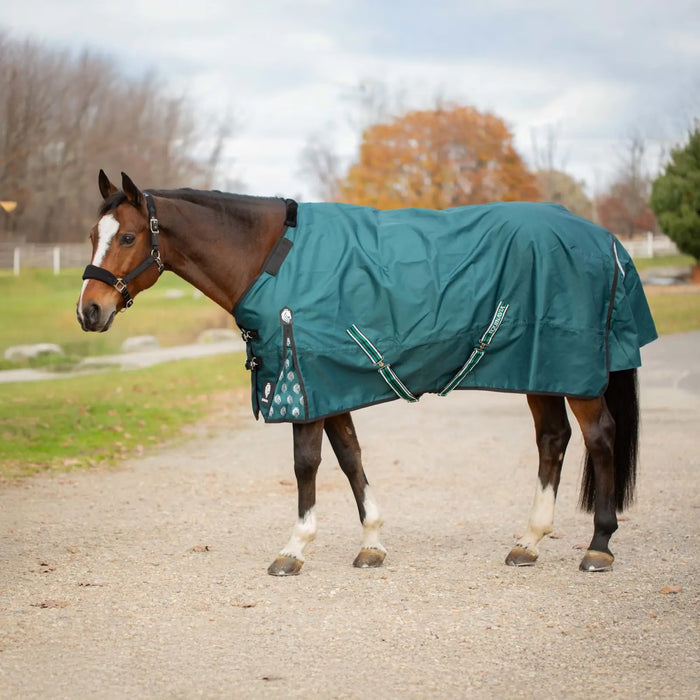 Equinavia Arktis Standard Neck Turnout Sheet (0g)