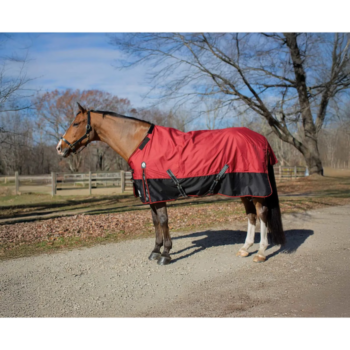 Equinavia Norse Light Weight Turnout Blanket (100g)