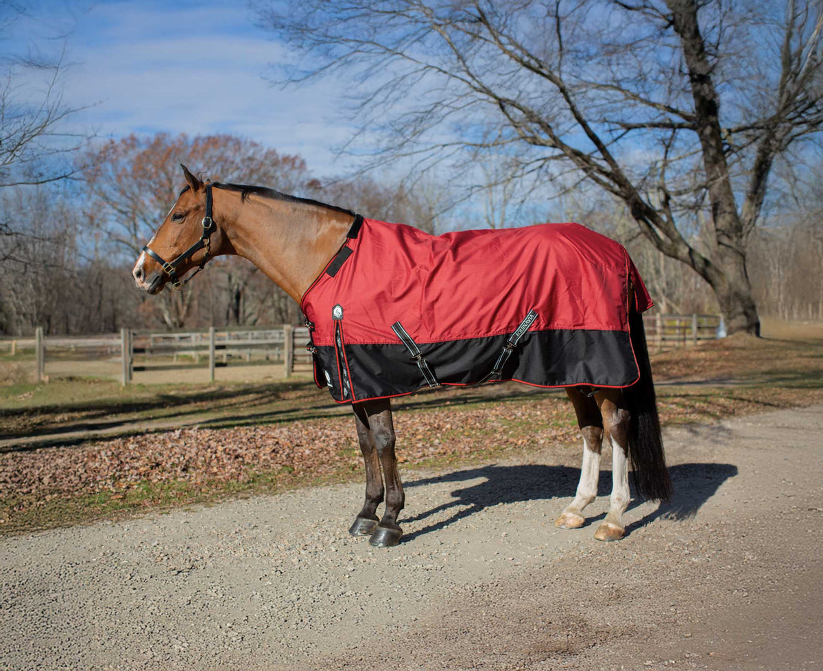 Equinavia Norse Turnout Sheet (0g) — Performance Horse Blankets