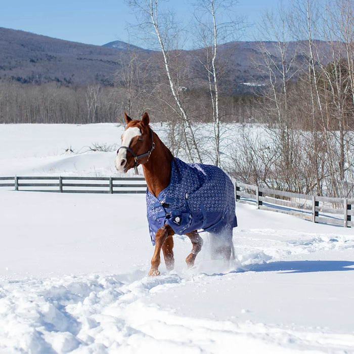 Equinavia Arktis Extended High Neck Medium Weight Turnout Blanket (200g)